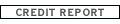 Credit Report